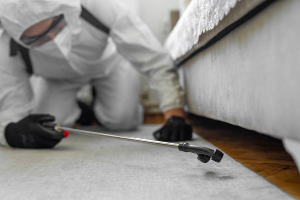 Professional Bed Bug Control technician working in Jackson County County, IN